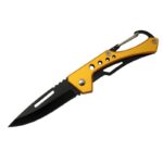 Hongjie Çakı - Görsel 2