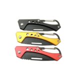 Hongjie Çakı - Görsel 3