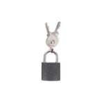 Gri Kısa Kilit 20mm - Çanta Dolap Kilidi - Görsel 2